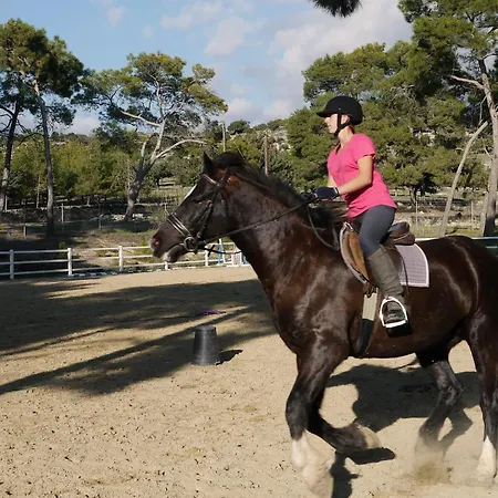 Villa Delphin 375 Fantastic Villa With Amazing Outside Space And 13X5M Private Pool, Aphrodite Hills וילה *